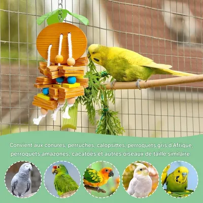 ZooVenture Juguetes para masticar para loros y periquitos