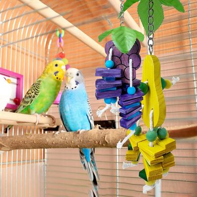ZooVenture Jouets à ronger pour perroquet et perruche