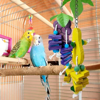 ZooVenture Juguetes para masticar para loros y periquitos