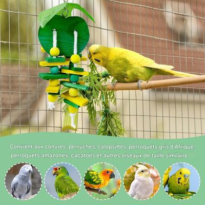 ZooVenture Jouets à ronger pour perroquet et perruche