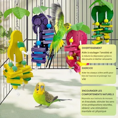 ZooVenture Juguetes para masticar para loros y periquitos