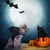 ZooVenture Halloween-Fledermaus-Hundegeschirr ZooVenture Halloween-Fledermaus-Hundegeschirr