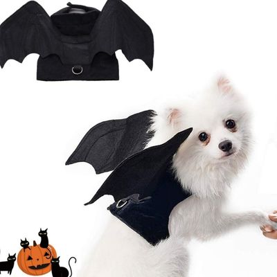 ZooVenture Harnais  pour chien Chauves-souris d'Halloween