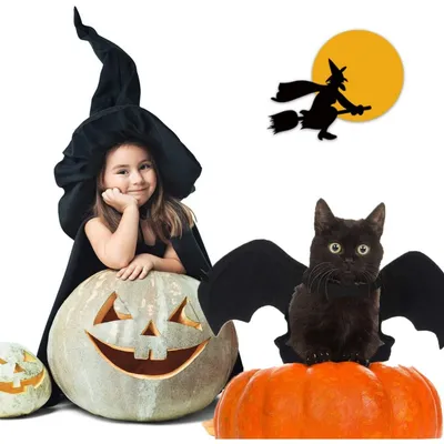 ZooVenture Halloween-Fledermaus-Hundegeschirr ZooVenture Halloween-Fledermaus-Hundegeschirr