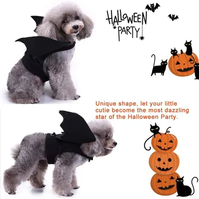 ZooVenture Halloween-Fledermaus-Hundegeschirr ZooVenture Halloween-Fledermaus-Hundegeschirr