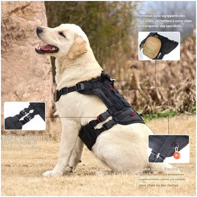 ZooVenture Harnais Tactique pour Chiens Noir