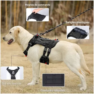 ZooVenture Harnais Tactique pour Chiens Noir