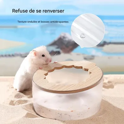 ZooVenture Bac de bain de sable pour hamster