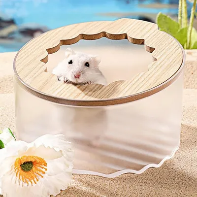 ZooVenture Bac de bain de sable pour hamster