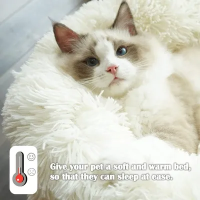 ZooVenture Panier  pour chien et chat Blanc - diamètre 50 cm