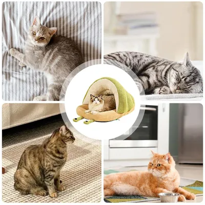 ZooVenture Tente pour chat et chien Chaussons