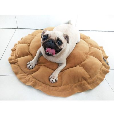 ZooVenture Panier lit pour chien et chat 2 façons d'utiliser