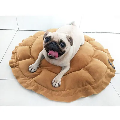 ZooVenture Panier lit pour chien et chat 2 façons d'utiliser