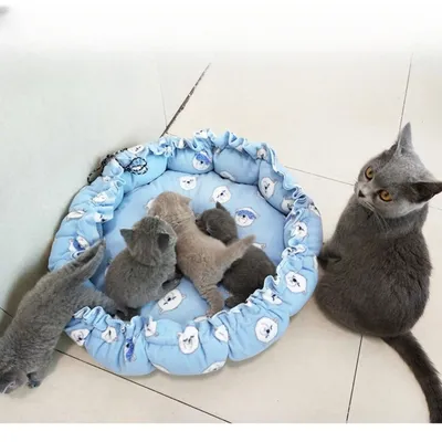 ZooVenture Panier lit pour chien et chat 2 façons d'utiliser