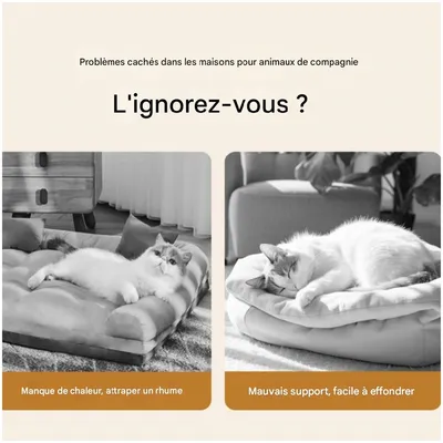 ZooVenture Panier pour chats et chiots Vert 55*40*20cm