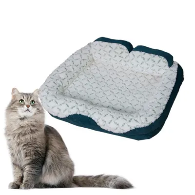 ZooVenture Panier pour chats et chiots Vert 55*40*20cm ZooVenture Panier pour chats et chiots Vert 55*40*20cm