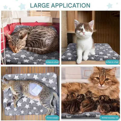 ZooVenture Deux Réversible Panier pour Chien