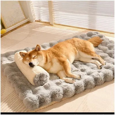 ZooVenture Lit Coussin pour chat et chat Gris