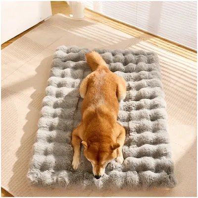 ZooVenture Lit Coussin pour chat et chat Gris