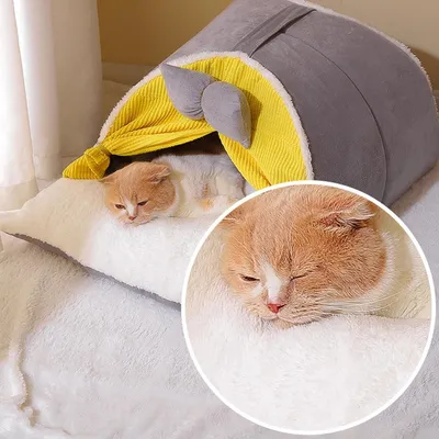 ZooVenture Tente pour chat et chien Gris M