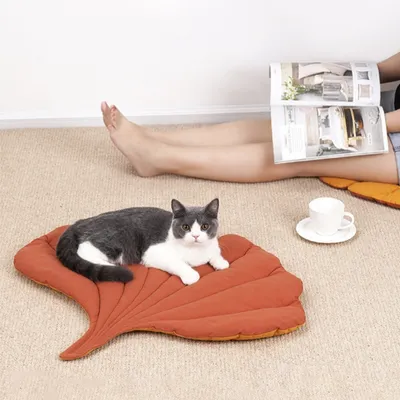 ZooVenture Coussin pour chiens et chats Forme de la feuille