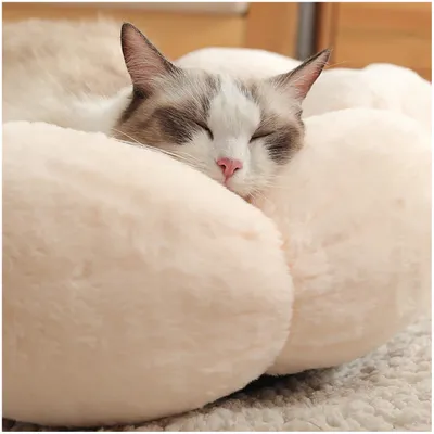 ZooVenture Panier pour chat en forme de pétale Diamètre 40cm