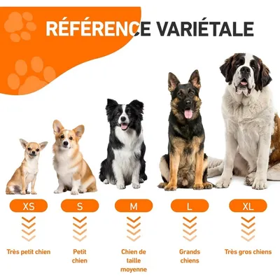 ZooVenture Peignoir pour chiens