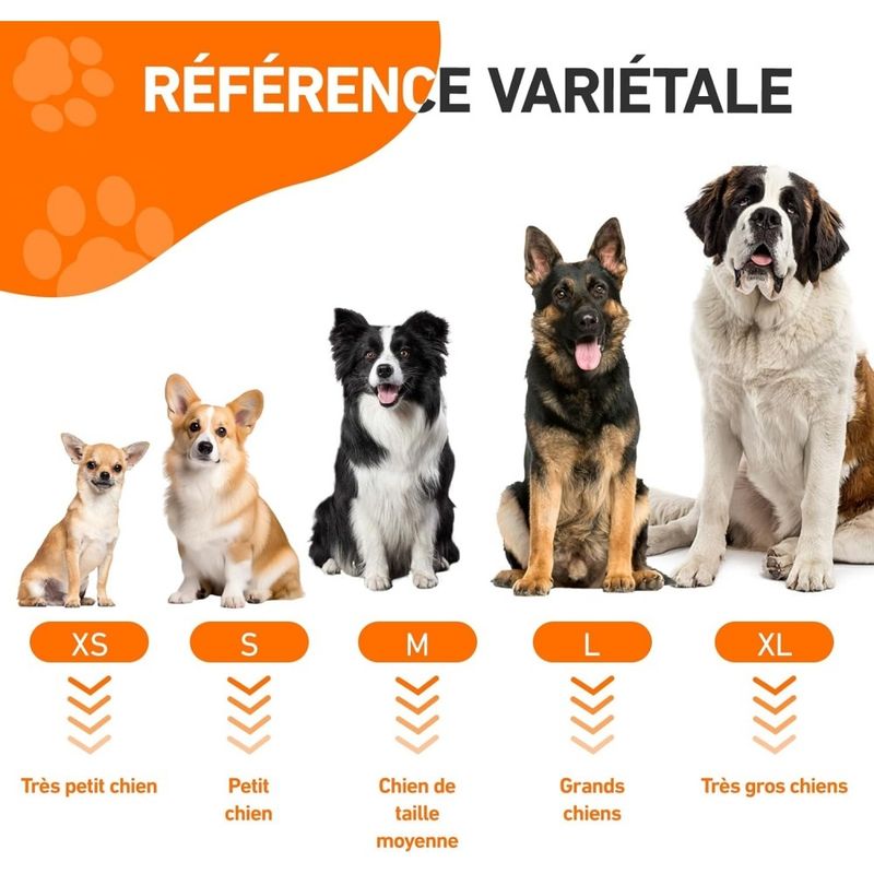 ZooVenture Peignoir pour chiens