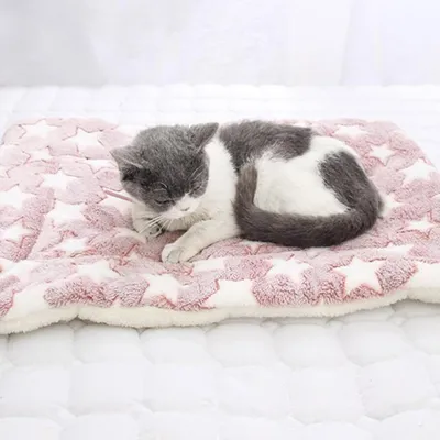 PetTribes Tapis doux et lavable pour chat et chien - Confort toute l'année