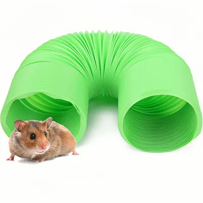 ZooVenture Tunnel de jouet pour hamster pour rongeurs