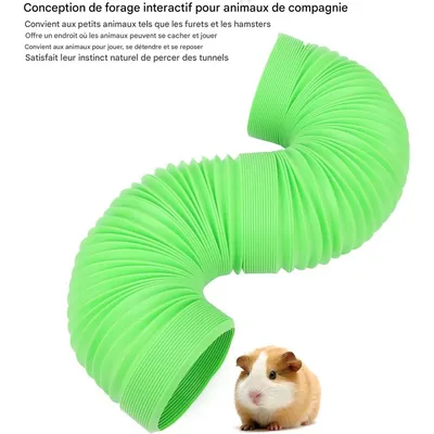 ZooVenture Tunnel de jouet pour hamster pour rongeurs
