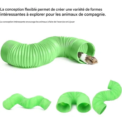 ZooVenture Tunnel de jouet pour hamster pour rongeurs