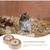 ZooVenture Labyrinthe en bois pour hamster