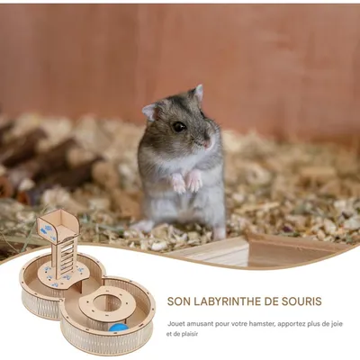 ZooVenture Labyrinthe en bois pour hamster