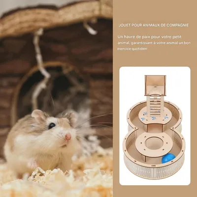 ZooVenture Labyrinthe en bois pour hamster