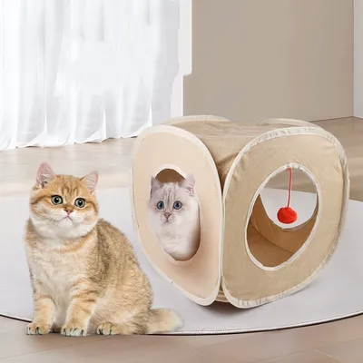 ZooVenture Tunnel carré pour cochons d'Inde et autres petits animaux