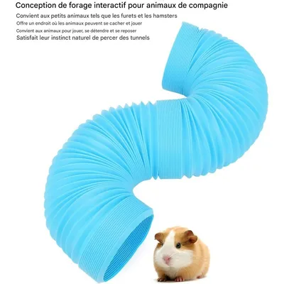 ZooVenture Tunnel de jouet pour hamster pour rongeurs