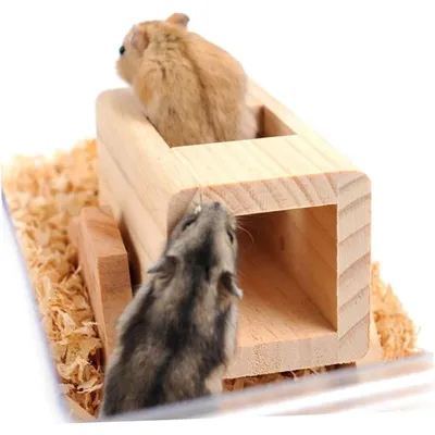 ZooVenture Juguetes mecedores para hámsteres, ratones y ardillas