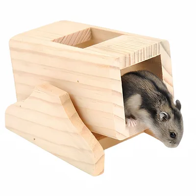 ZooVenture Bascule Jouets Pour Hamsters Souris Écureuils