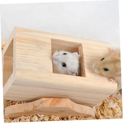 ZooVenture Juguetes mecedores para hámsteres, ratones y ardillas