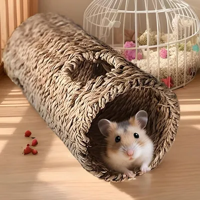 ZooVenture Jouet tunnel et systèmes de tubes pour hamster
