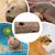 ZooVenture Jouet tunnel et systèmes de tubes pour hamster