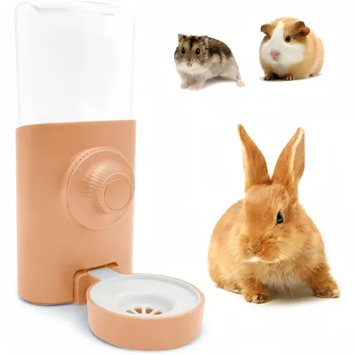 ZooVenture 600ML Automatique Distributeur Eau Pour Lapin