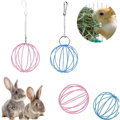 ZooVenture Distributeur d'aliments pour rongeurs