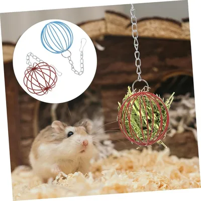 ZooVenture Distributeur d'aliments pour rongeurs