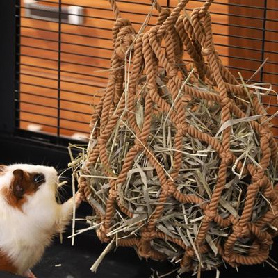 ZooVenture Suspendu Sac à foin pour Lapin et petits animaux