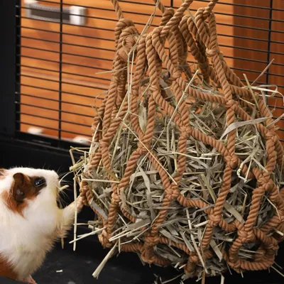 ZooVenture Suspendu Sac à foin pour Lapin et petits animaux
