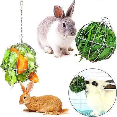 ZooVenture Comederos de heno de acero inoxidable conejos, cobayas hámsteres