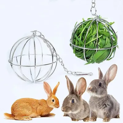 ZooVenture Comederos de heno de acero inoxidable conejos, cobayas hámsteres