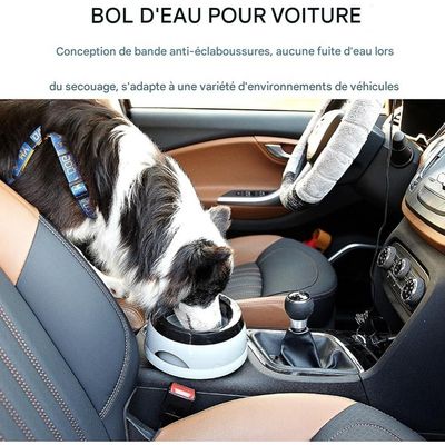 ZooVenture Anti - déversement Gamelle D'eau Pour Chiens